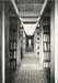 ef_pic71